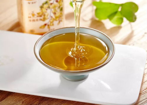 立春后养生指南 顺应节气，健康一整年